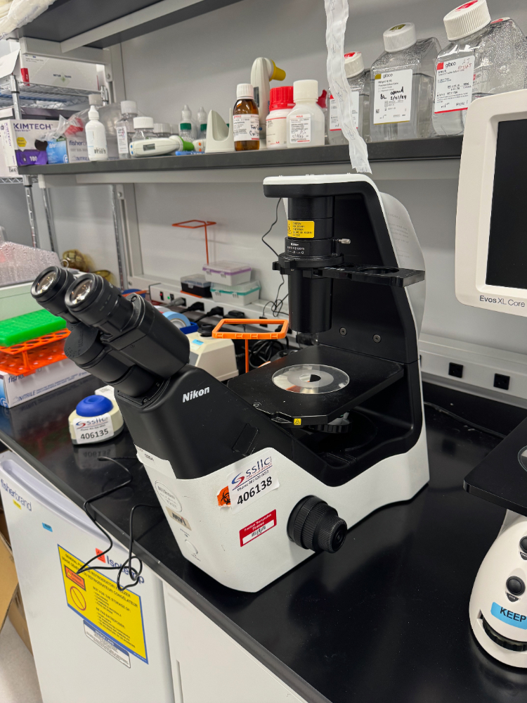 Image of Nikon Eclipse Ts2 Inverted Microscope